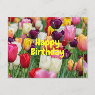Verjaardag Gemengde Kleur Tulp Bloemen  Briefkaart