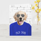 Verjaardag Golden Retriever in blauw T-shirt Kaart (Gele Bloem)