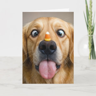 Verjaardag Golden Retriever Met Candy Corn Kaart