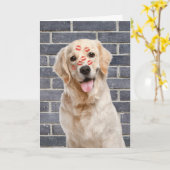 Verjaardag Golden Retriever op baksteen Kaart (Gele Bloem)