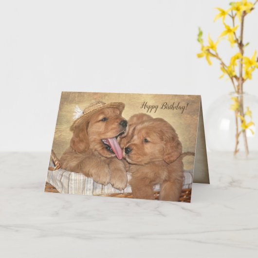 Verjaardag Golden Retriever Puppy plezier Kaart (Gele Bloem)