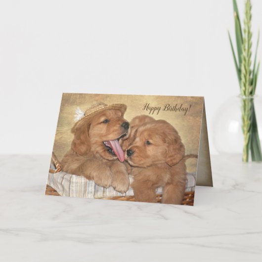 Verjaardag Golden Retriever Puppy plezier Kaart (Voorkant)