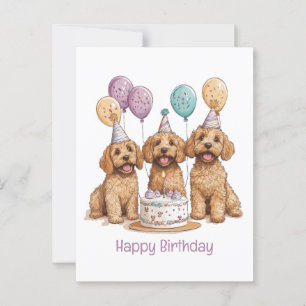 Verjaardag Goldendoodle Honden Verjaardagstaart Briefkaart