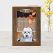 Verjaardag - Gouden Krabbel - Venster - Ballons Kaart (Gele Bloem)