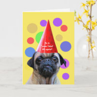 Verjaardag Grappig 29 Weer met Cute Hond