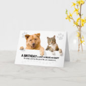 Verjaardag Grappige Kat en Hond op Wit voor Dieren Kaart (Gele Bloem)