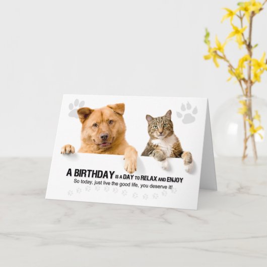 Verjaardag Grappige Kat en Hond op Wit voor Dieren Kaart (Gele Bloem)