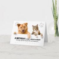 Verjaardag Grappige Kat en Hond op Wit voor Dieren