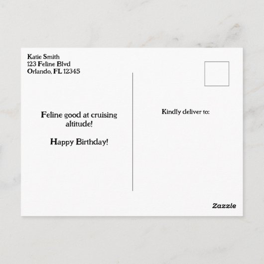 Verjaardag Grappige Kat Piloot & Vliegtuig Luchtva Briefkaart (Achterkant)