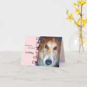 Verjaardag Groet Border Collie Kaart (Gele Bloem)