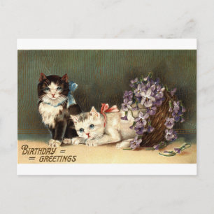 Verjaardag Groeten Repro Vintage 1910 Briefkaart