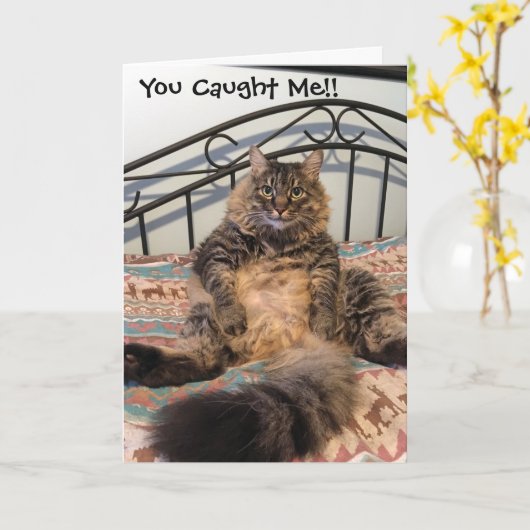 Verjaardag Hairball Kimber Cat Verjaardag Kaart (Gele Bloem)