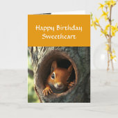 Verjaardag Happy Schattige Fun Nuts Over You Eekho Kaart (Gele Bloem)