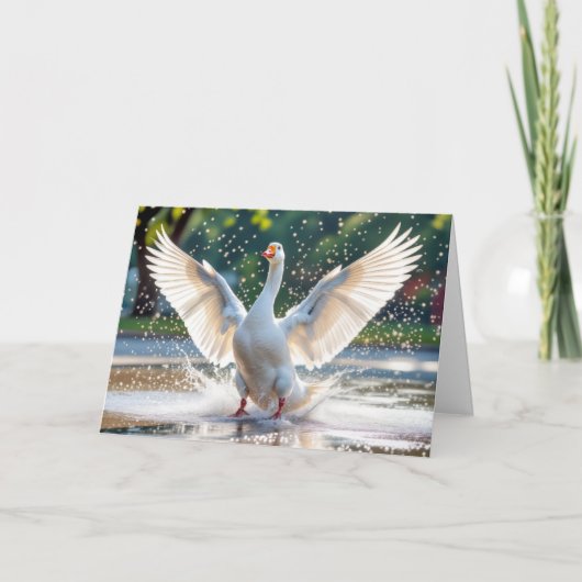 Verjaardag Happy White Goose in Water Splash Kaart (Voorkant)
