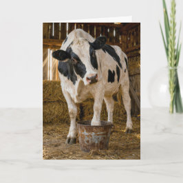 Verjaardag Holstein Koe die in een Roestige Emmer Kaart