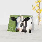Verjaardag Holstein Koe Humor Kaart (Gele Bloem)