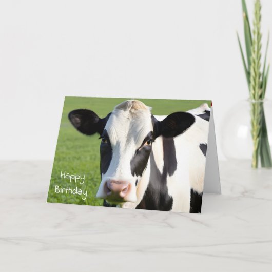 Verjaardag Holstein Koe Humor Kaart (Voorkant)