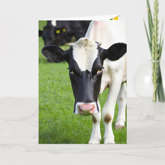 Verjaardag Holstein Koe in de wei Kaart (Voorkant)