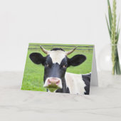 Verjaardag Holstein Koe in de wei Kaart (Voorkant)