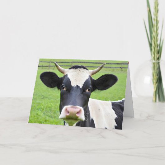 Verjaardag Holstein Koe in de wei Kaart (Voorkant)