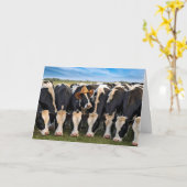 Verjaardag Holstein Koeien Grazing Kaart (Gele Bloem)