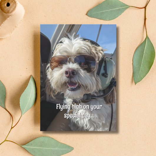 Verjaardag Hond Piloot Aviator Zonnebril Vliegtuig Kaart