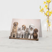 Verjaardag Honden en Katten Kaart (Gele Bloem)
