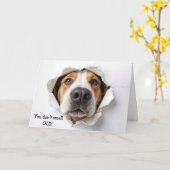 Verjaardag Hound Dog Face In Paper Hole Kaart (Gele Bloem)