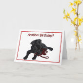 Verjaardag Humor Black Labrador Retriever Kaart (Gele Bloem)