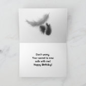 Verjaardag Humor Calico Perzische Kat Kaart (Binnen)