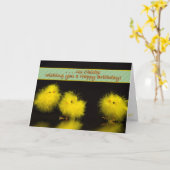 Verjaardag, humor, Chicks to Chicks, Geel/Zwart Kaart (Gele Bloem)