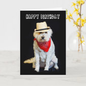 VERJAARDAG - HUMOR - HOND/COWBOY PET EN SJAAL KAART (Gele Bloem)