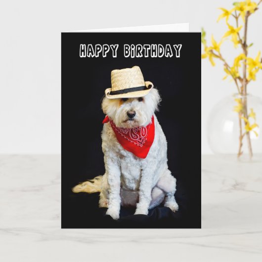 VERJAARDAG - HUMOR - HOND/COWBOY PET EN SJAAL KAART (Gele Bloem)