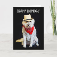 VERJAARDAG - HUMOR - HOND/COWBOY PET EN SJAAL