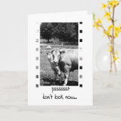 Verjaardag Humor - Koeien Kaart (Gele Bloem)