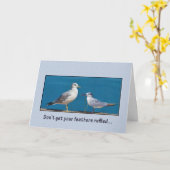 Verjaardag, Humor, meeuw en stern vogels Kaart (Gele Bloem)