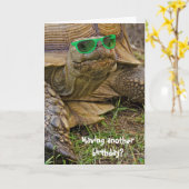 Verjaardag humor-oude schildpad in groene bril kaart (Gele Bloem)