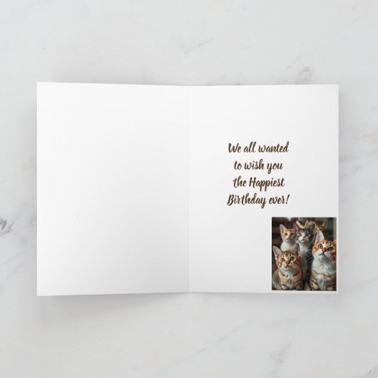 Verjaardag Humor van alle Schattigee katten Kaart (Binnen)