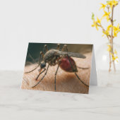 Verjaardag Humor van de mug Kaart (Gele Bloem)