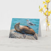 Verjaardag Humor zeemeeuw neergestreken op een Zee Kaart (Gele Bloem)