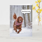 Verjaardag Ierse setter die in sneeuw loopt Kaart (Gele Bloem)