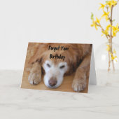 Verjaardag - Je verjaardag vergeten Kaart (Gele Bloem)