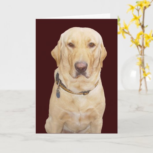  verjaardag kaart (Gele Bloem)