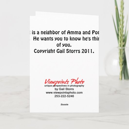 Verjaardag Kaart 3 (Achterkant)