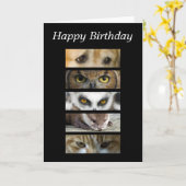 Verjaardag Kaart - Animals Eyes (Gele Bloem)