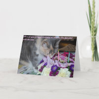 Verjaardag Kaart, bloemen en kat