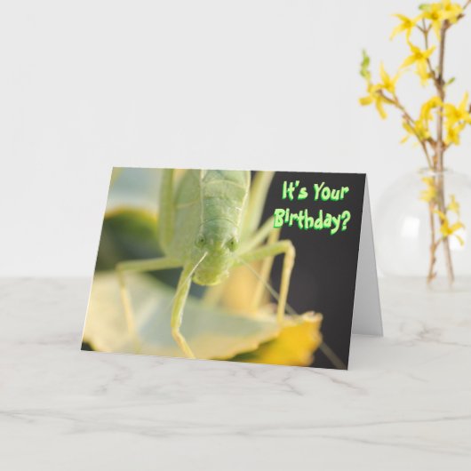 Verjaardag Kaart--"Bug You" Grappige Verjaardag Ka Kaart (Gele Bloem)