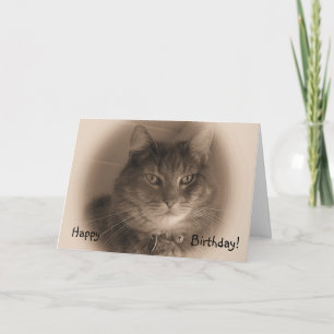 Verjaardag Kaart - Cat in Sepia