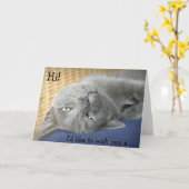 Verjaardag Kaart: Grey Cat wenst een fijne verjaar Kaart (Gele Bloem)