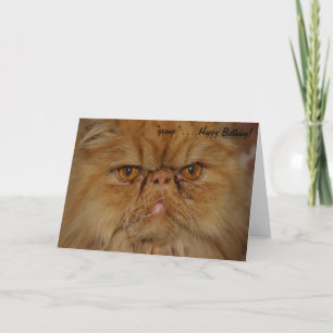 Verjaardag Kaart: Grumpiest Cat Alive Kaart